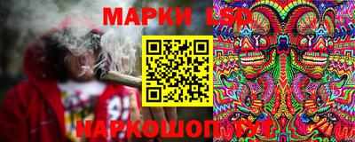стафф Волгодонск