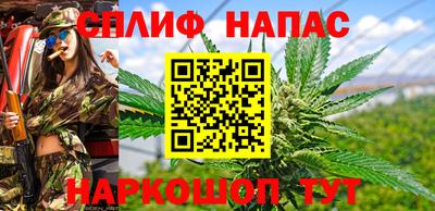 стафф Волгодонск